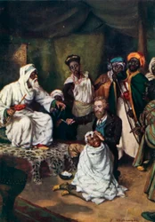 Mungo Park, Als Barbier vom Emir Ali beschäftigt